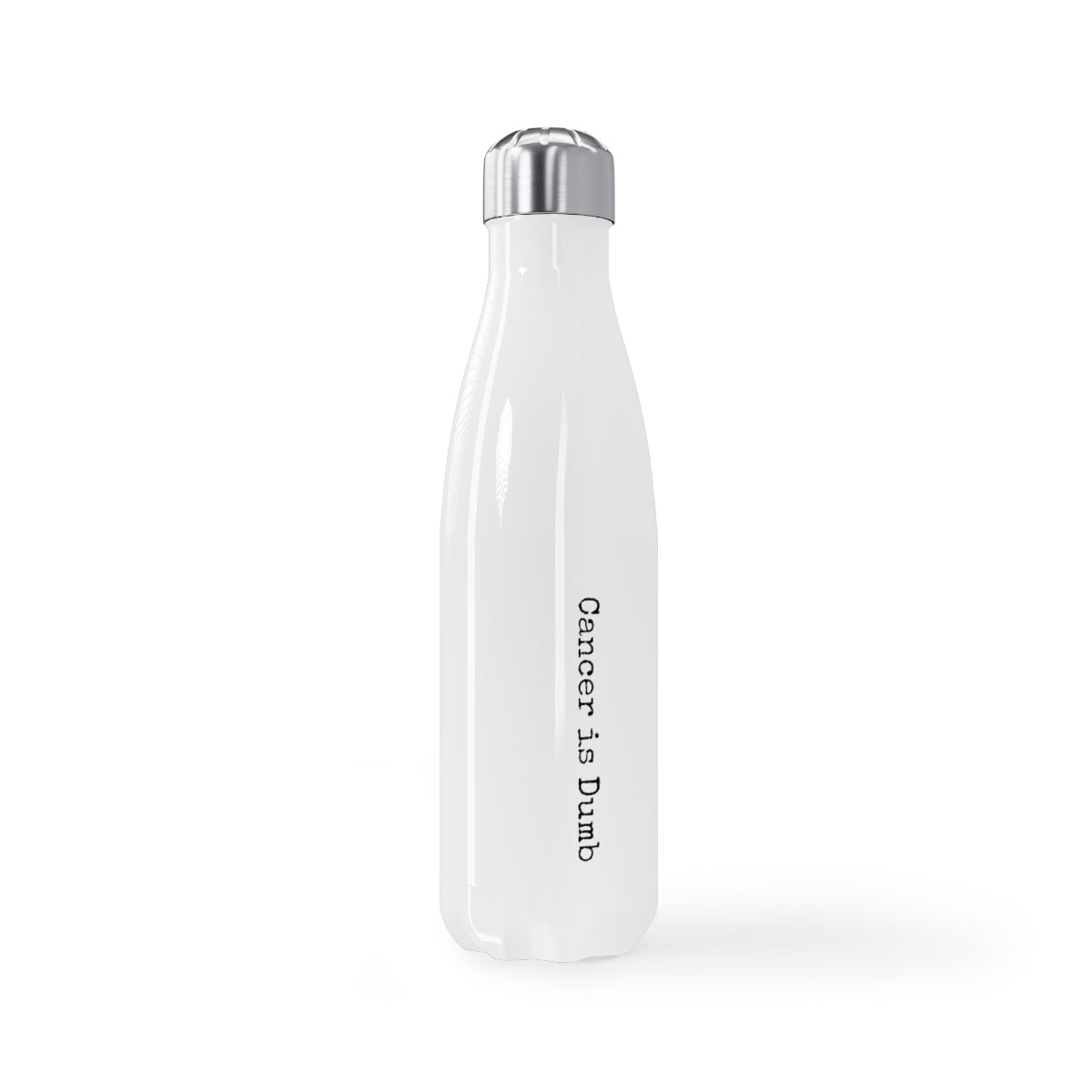 Stainless Steel Water Bottle, 17oz Anti Cancer Cancer is Dumb Survivor Support Humorous Funny