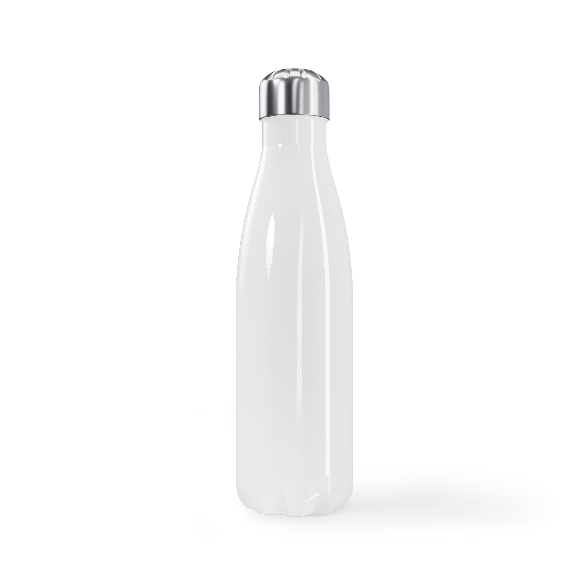 Stainless Steel Water Bottle, 17oz